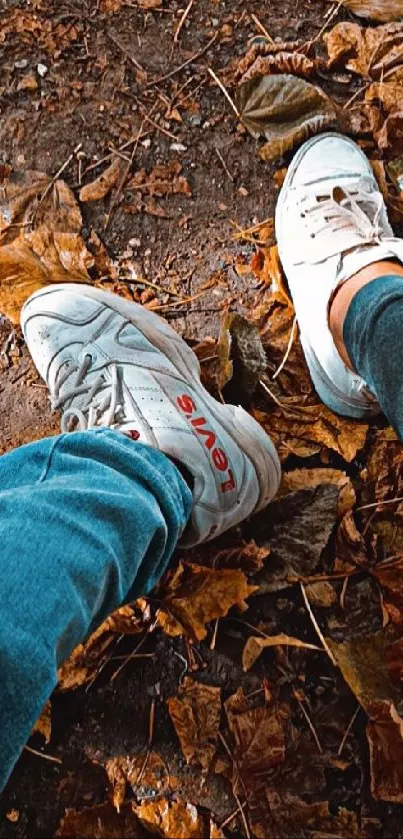 Sneakers on a forest path with autumn leaves.