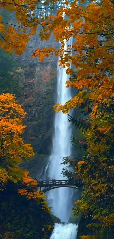 Autumn waterfall with orange foliage and bridge.
