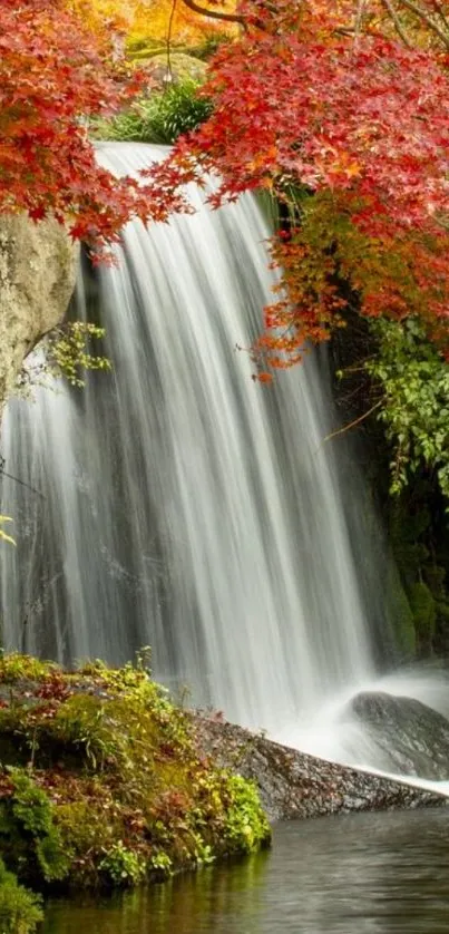 Autumn waterfall with red leaves in a serene forest scene.