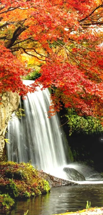 Beautiful autumn waterfall with vibrant colorful leaves.