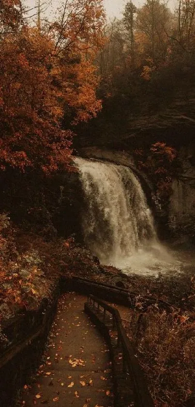 Pathway to waterfall in autumn forest, vibrant foliage.