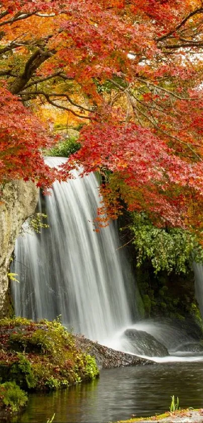 Waterfall with red autumn leaves and rocks.