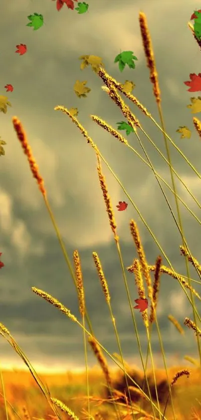 Golden wheat field under cloudy sky with colorful falling leaves.