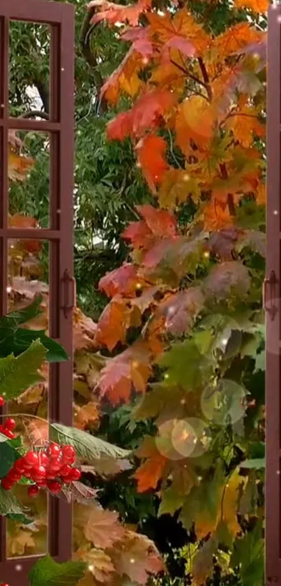 Autumn window view with orange leaves and red berries.