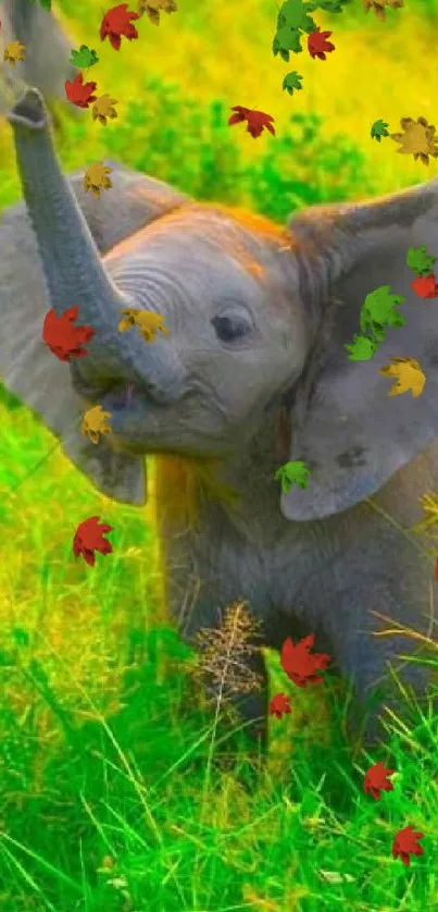 Adorable baby elephant in lush green grass.