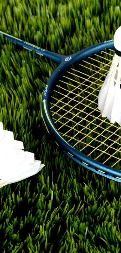 Badminton racket and shuttlecocks on green grass wallpaper.