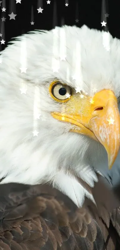 Bald eagle head against a starry night sky on phone wallpaper.