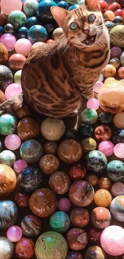 Ball Cat Felinae Live Wallpaper