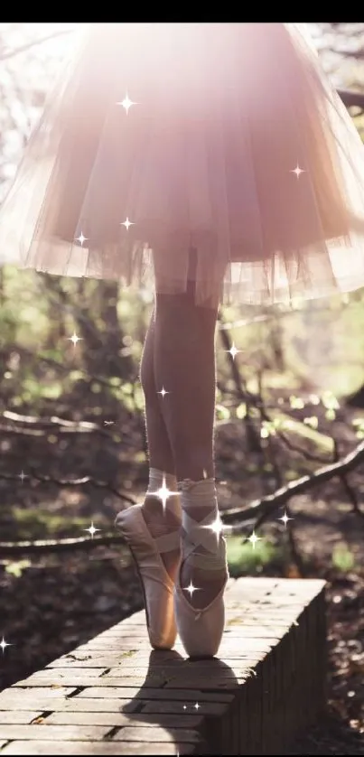 Ballet dancer poised on toes in nature scene.