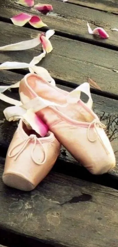 Ballet shoes and petals on planks