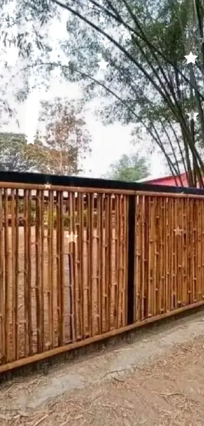 Bamboo gate amidst tall trees, serene nature scene for mobile wallpaper.