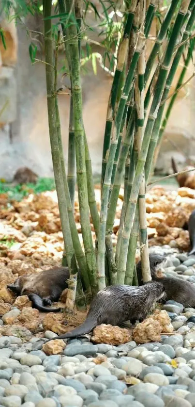 Otters playing around bamboo in a natural setting.