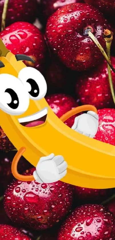 Cheerful banana cartoon on red cherries background.