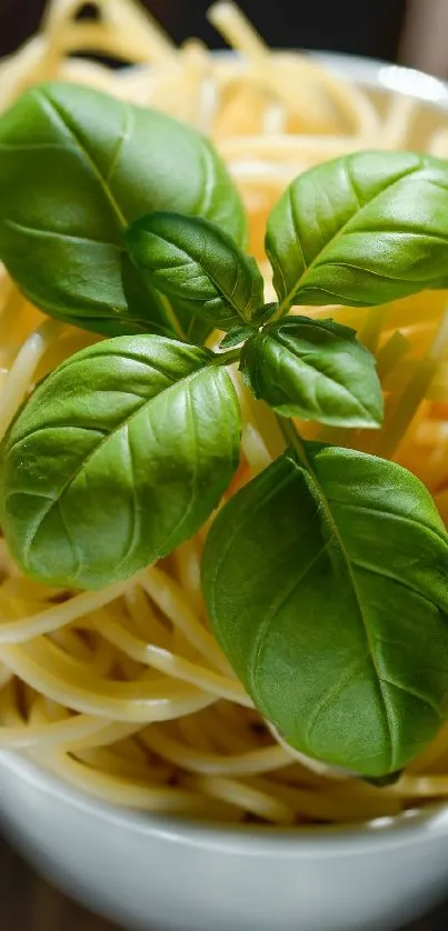 Bowl of spaghetti topped with fresh basil leaves.