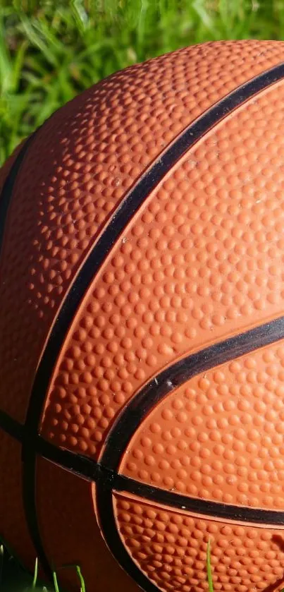 Orange basketball resting on green grass in sunlight.
