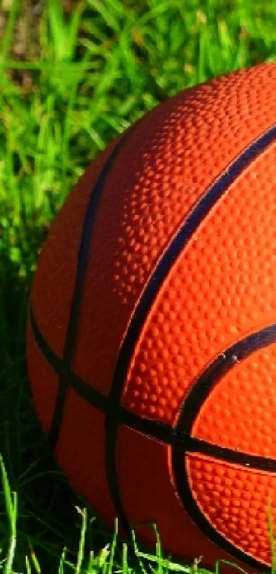 Orange basketball sitting on bright green grass.