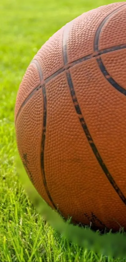 A basketball resting on lush green grass in vibrant sunlight.