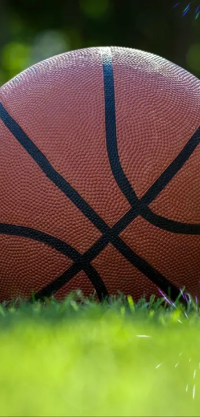 nothing but net Live Wallpaper