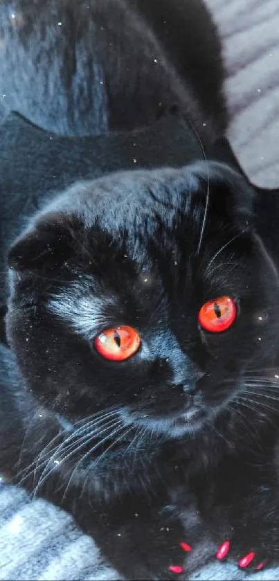 Black cat with bat ears and red glowing eyes on gray fabric.