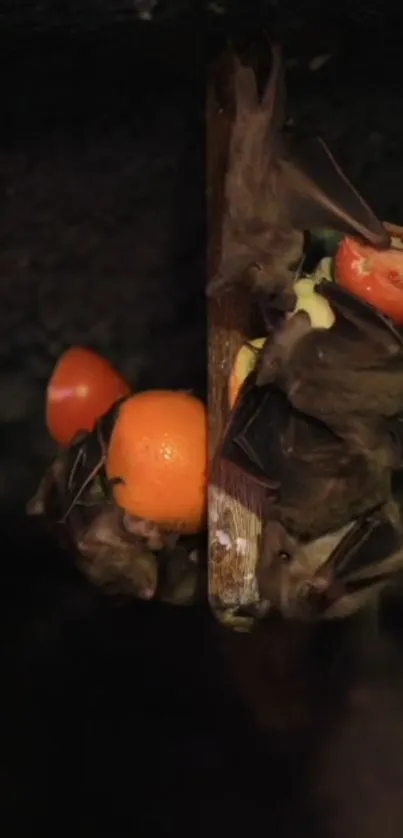 Bats enjoying fruits in a dark cave.