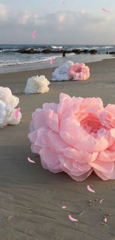 Large pink flowers on a sandy beach at sunset.