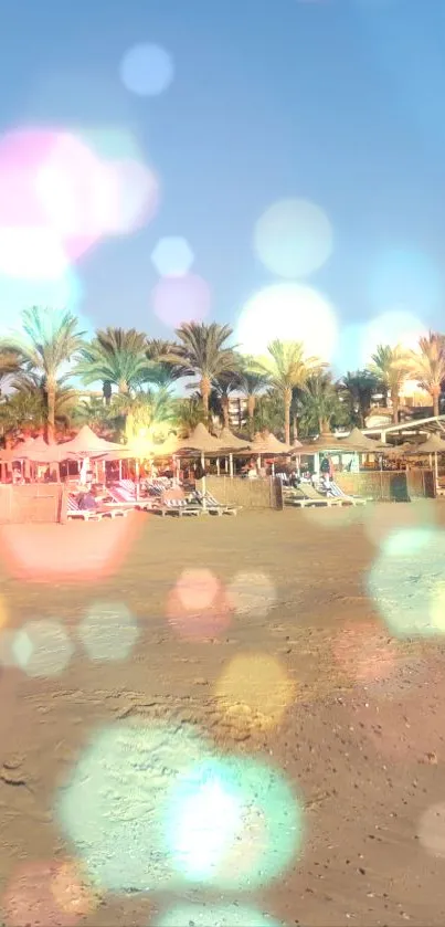 Beach with palm trees and vibrant bokeh overlay.