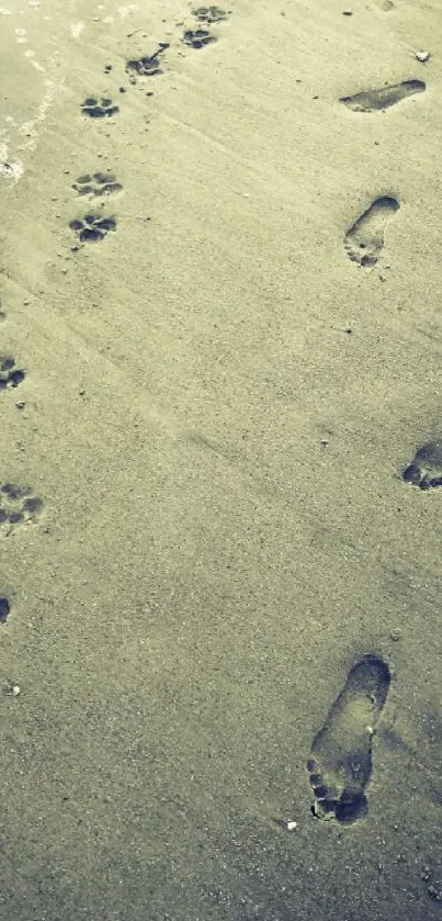 Beach footprints in sand with calming tones, ideal for mobile wallpaper.