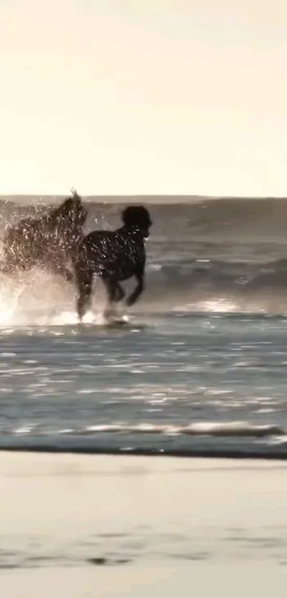 Horses galloping through beach waves in dynamic mobile wallpaper.