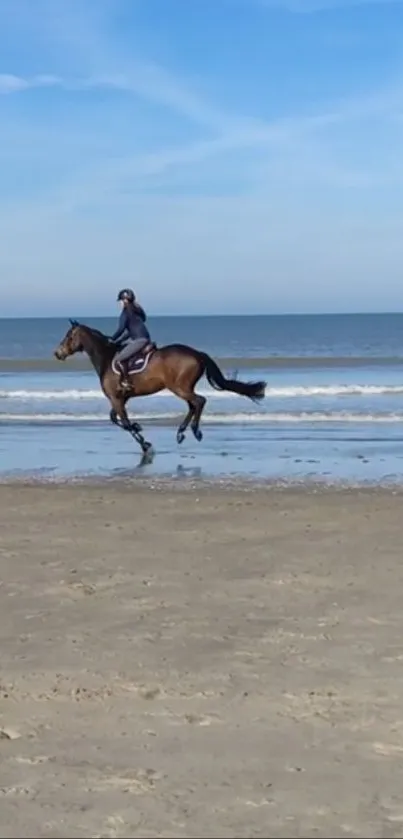 Horse galloping on a serene beach with a blue sky.