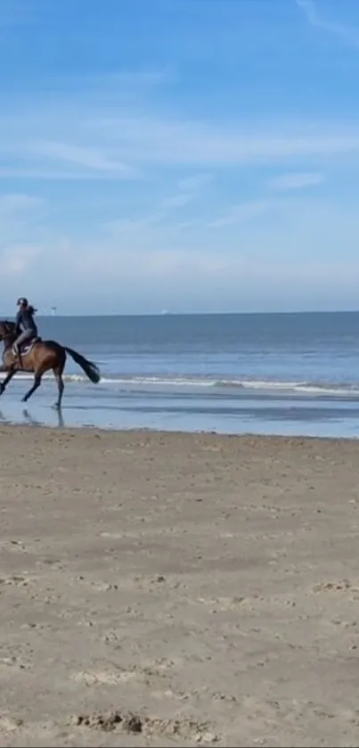 Horse and rider on a sandy beach by the ocean.