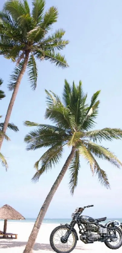 Motorcycle parked on a sunny beach with palm trees and clear blue sky.