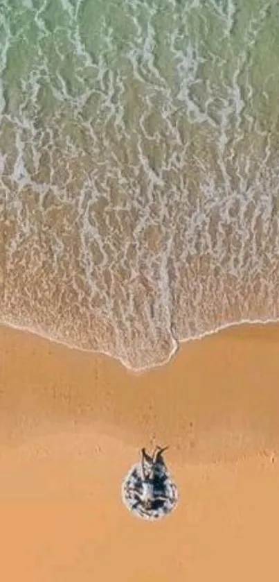 Aerial view of a serene beach with ocean waves and sandy shore.