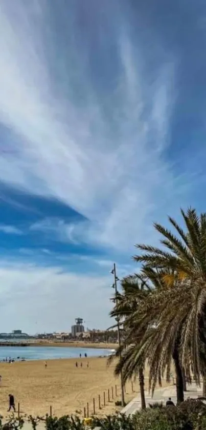 Phone wallpaper of a beach with palm trees and a beautiful blue sky.