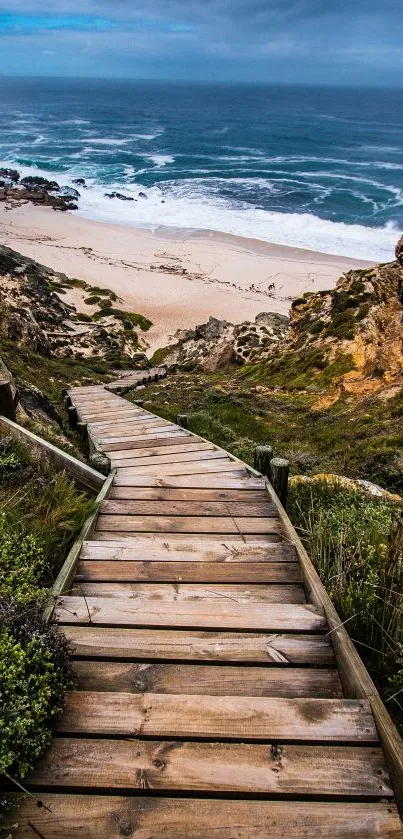 Scenic beach pathway leading to the ocean with a dramatic sky.