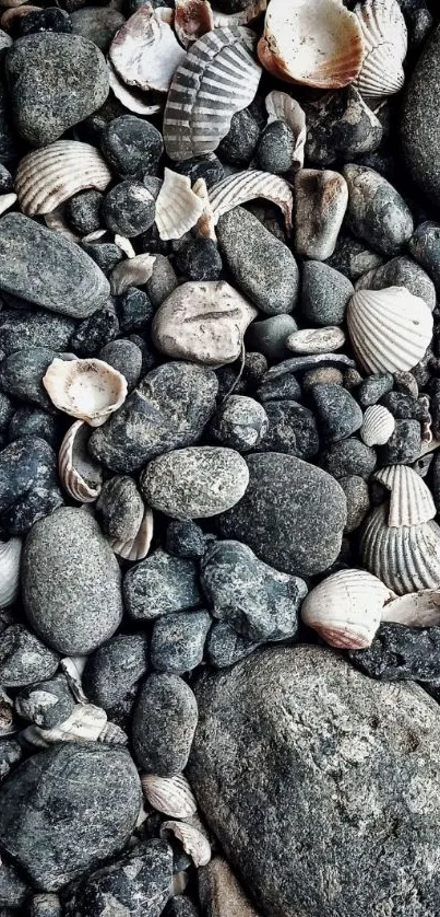 Beach pebbles and shells wallpaper with natural textures.