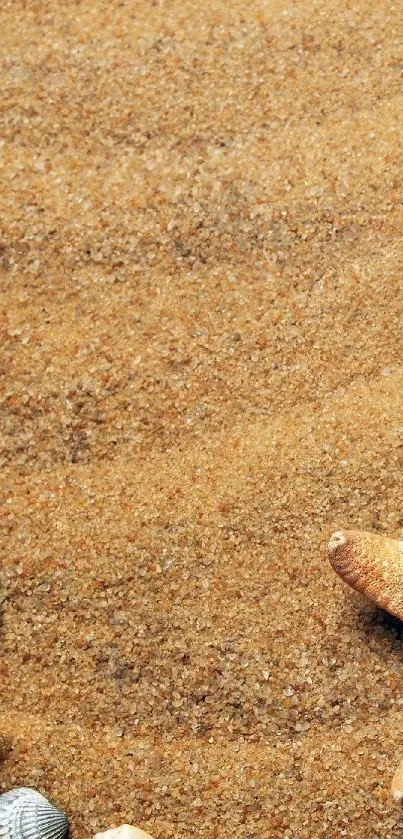 Sand and seashells on a beach-themed mobile wallpaper.