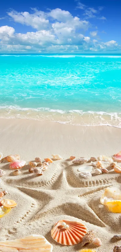 Serene beach with seashells and azure ocean view.