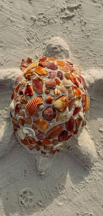 Turtle made of seashells on sandy beach