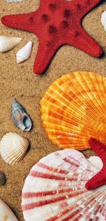 Colorful starfish and seashells on sandy beach wallpaper.