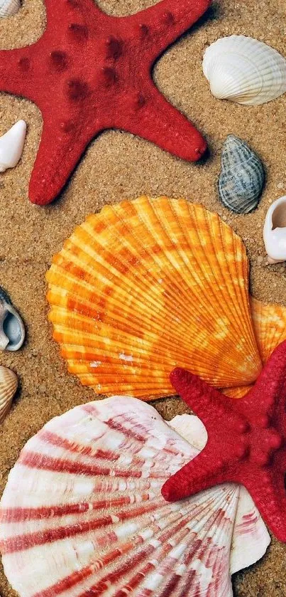 Colorful seashells and starfish on sandy beach background.