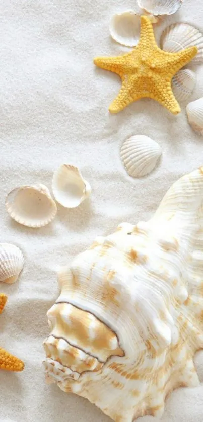 Sand and seashells with starfish mobile wallpaper.