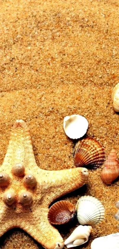 Mobile wallpaper of a starfish and seashells on sandy beach background.