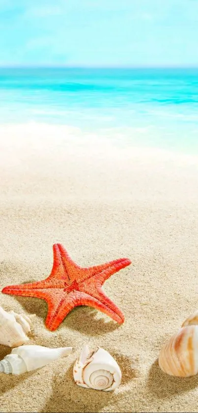 Beach starfish and seashells on sandy shore with ocean view.