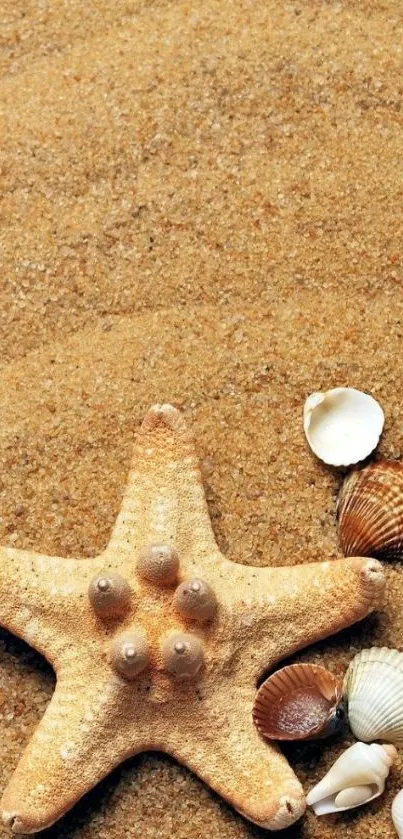 Starfish and seashells on sandy beach mobile wallpaper.