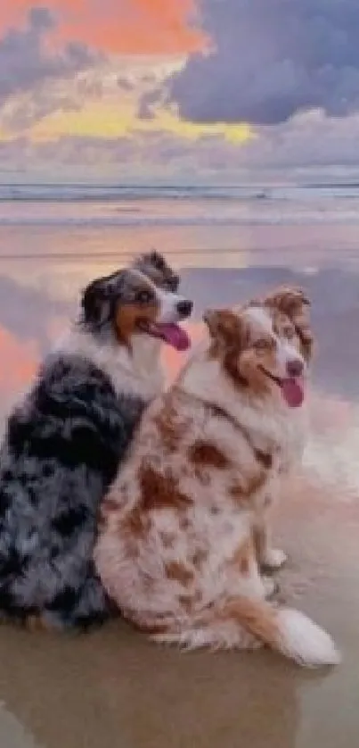 Two dogs sitting on a beach at sunset.