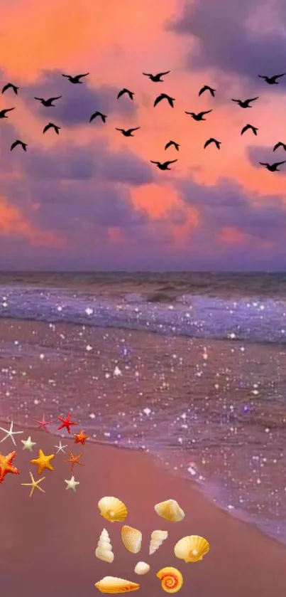 Beach sunset with birds and shells.