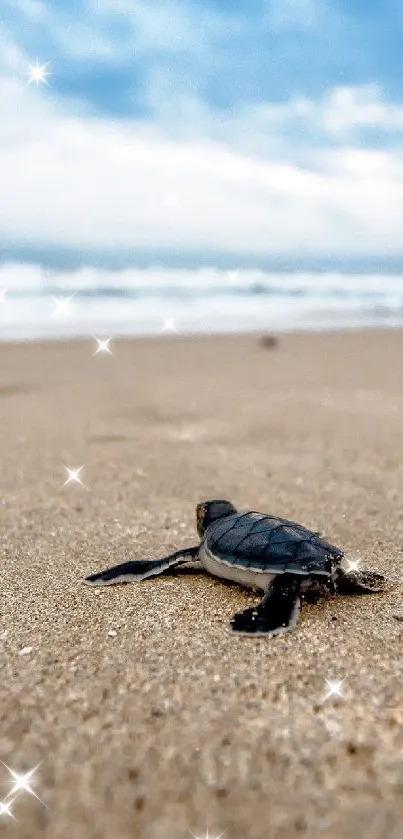 A baby sea turtle on a sandy beach with ocean waves in the background.