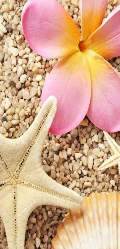 Beach-themed wallpaper with shells and a pink flower on sand.