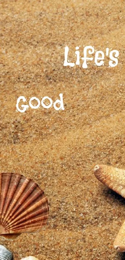 Seashells and starfish on golden beach sand wallpaper.