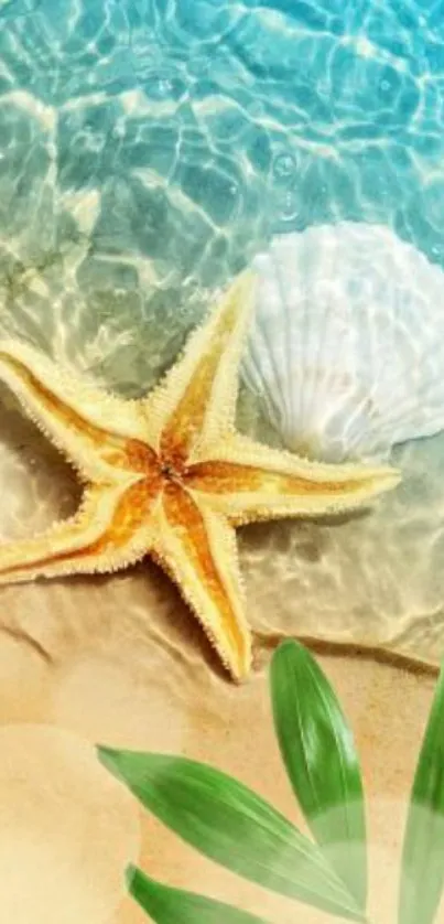 Starfish and seashell on sandy beach wallpaper.